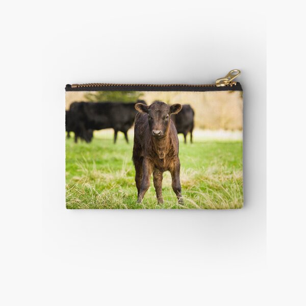 Item preview, Dexter Cows designed and sold by Jane Stanley Photography.