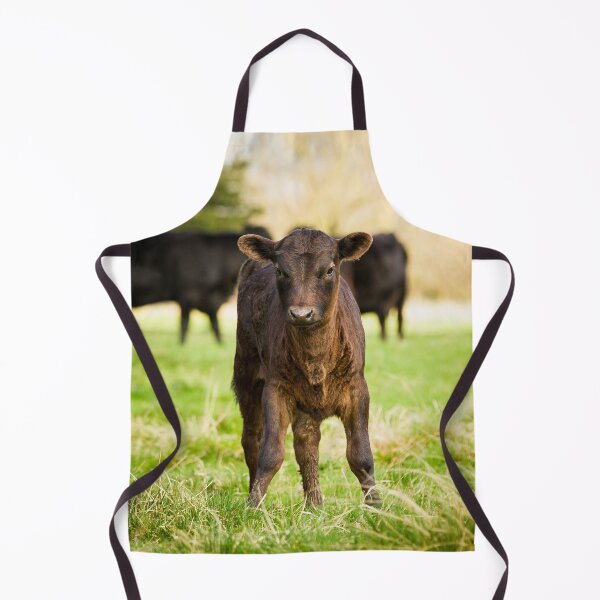 Item preview, Dexter Cows designed and sold by Jane Stanley Photography.