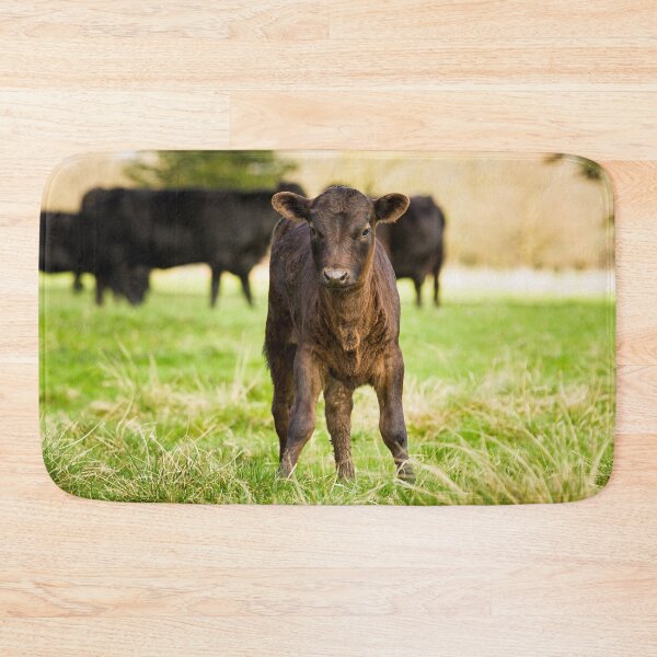 Item preview, Dexter Cows designed and sold by Jane Stanley Photography.