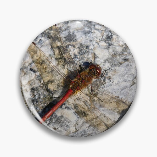 Item preview, Beautiful red Vagrant darter designed and sold by Jouko Lehto Photography.