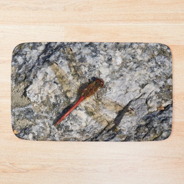 Item preview, Beautiful red Vagrant darter designed and sold by Jouko Lehto Photography.