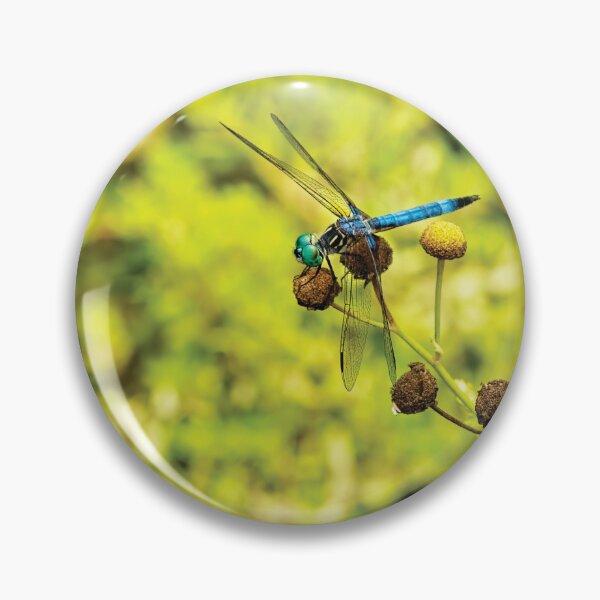 Item preview, Blue Dasher designed and sold by Kay Brewer.