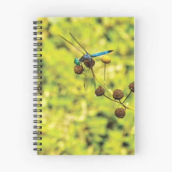 Item preview, Blue Dasher designed and sold by Kay Brewer.