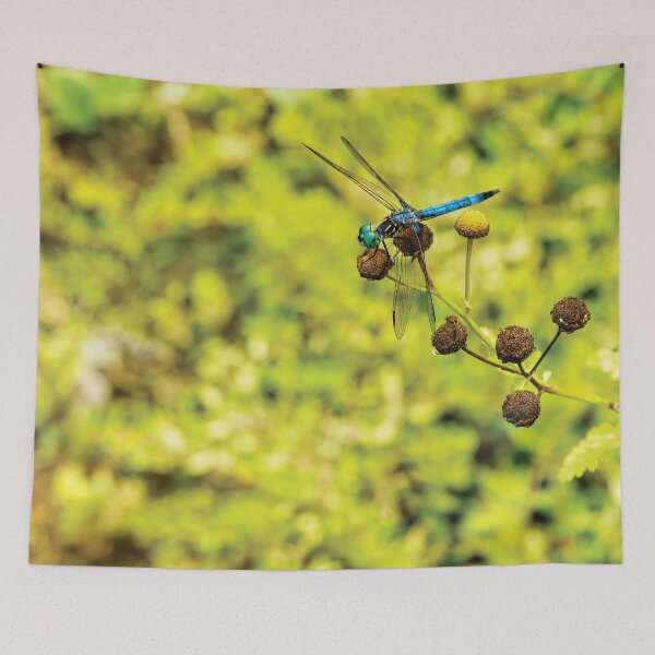 Item preview, Blue Dasher designed and sold by Kay Brewer.