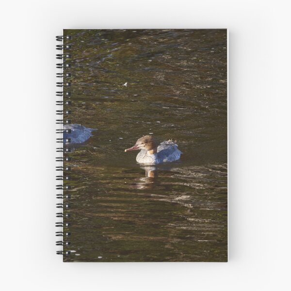 Item preview, Trio merganser. Goosander designed and sold by Jouko Lehto Photography.