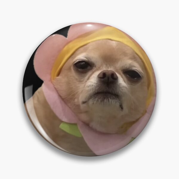 Item preview, Cute grumpy dog dressed as a flower designed and sold by Ratcatdoggg.