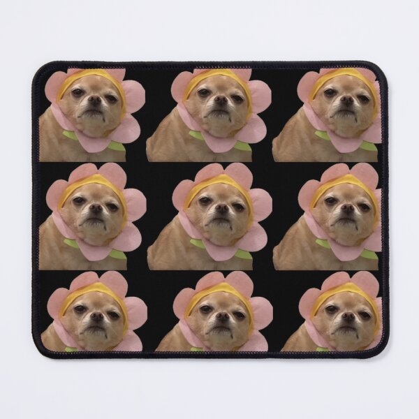 Item preview, Cute grumpy dog dressed as a flower designed and sold by Ratcatdoggg.