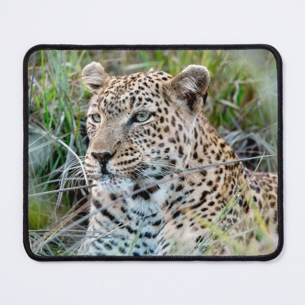 Item preview, Leopard In The Grass Green Eyes Watching designed and sold by DavideAntoniani.