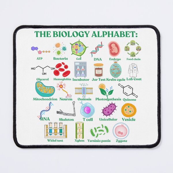 Item preview, The Biology Alphabet, cool science and biology designed and sold by NoetherSym.