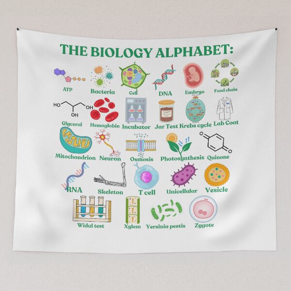 Item preview, The Biology Alphabet, cool science and biology designed and sold by NoetherSym.