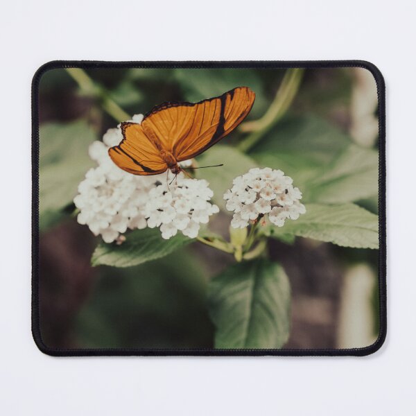 Item preview, Metamorphosis of the heart designed and sold by Shutter, Stitch, and Swirl.