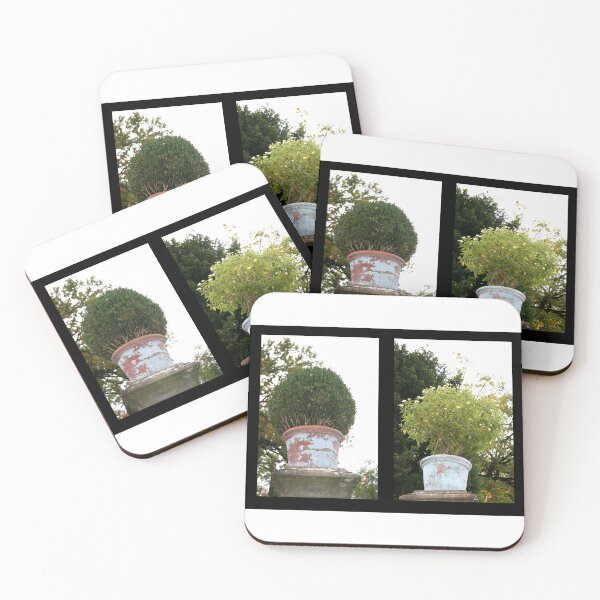 Item preview, Shrubs designed and sold by Kacharava.