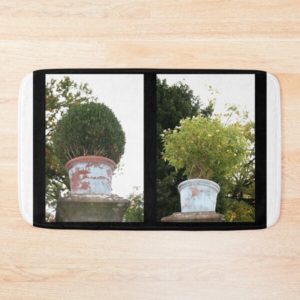 Item preview, Shrubs designed and sold by Kacharava.