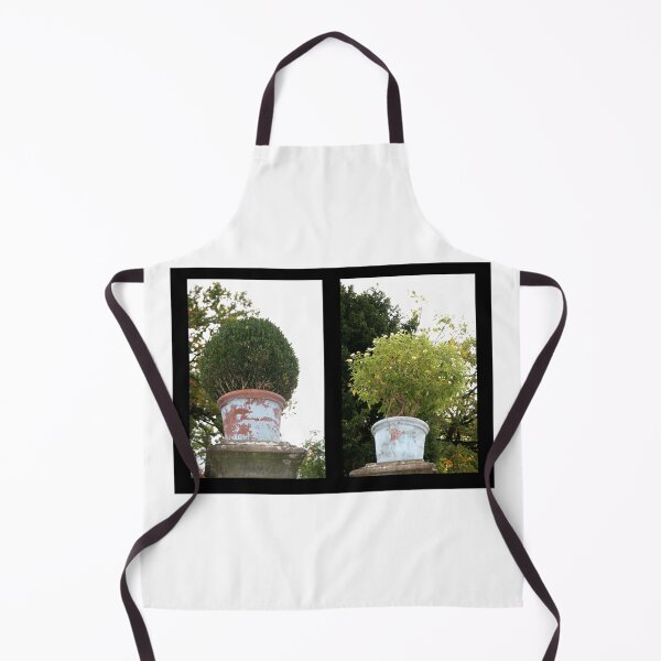 Item preview, Shrubs designed and sold by Kacharava.