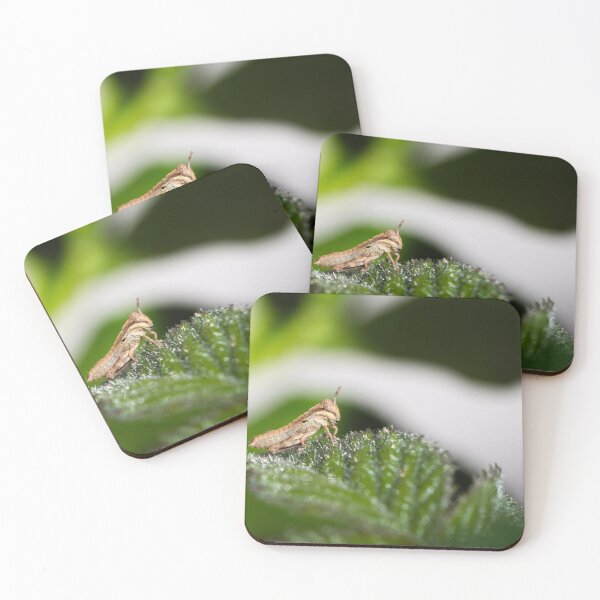 Item preview, Small but Mighty designed and sold by Shutter, Stitch, and Swirl.