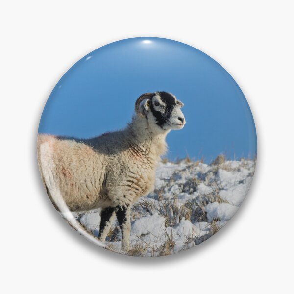 Item preview, Swaledale Sheep in the Snow – Yorkshire Dales Winter designed and sold by Two-Tickets-To.