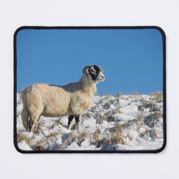 Item preview, Swaledale Sheep in the Snow – Yorkshire Dales Winter designed and sold by Two-Tickets-To.
