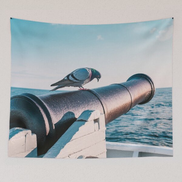 Item preview, Pigeon on a Cannon designed and sold by Kwandry.