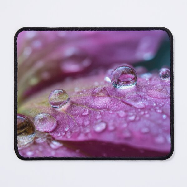 Item preview, Water droplets on a flower petal designed and sold by anytka.