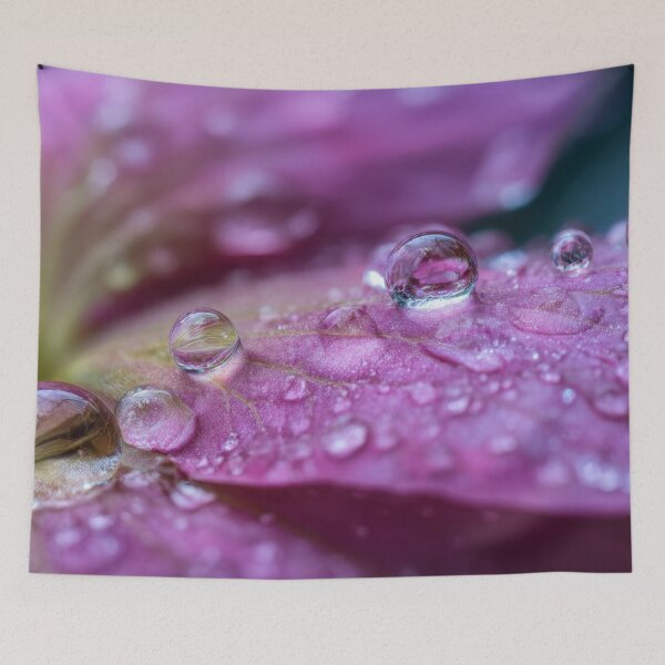 Item preview, Water droplets on a flower petal designed and sold by anytka.