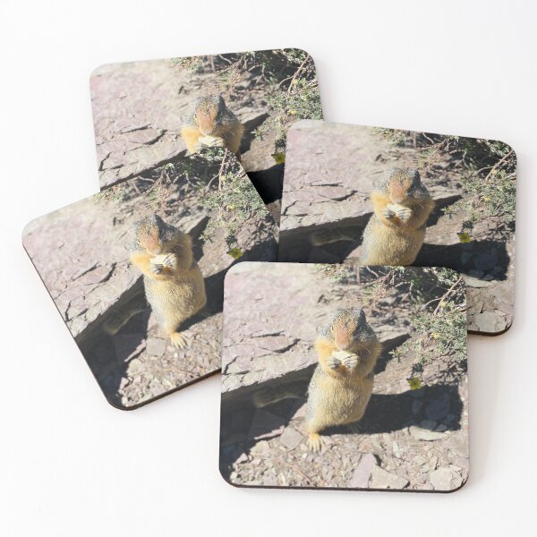 Item preview, Tiny Snack Bandit - Glacier National Park Wildlife designed and sold by Southern Summit Photography.