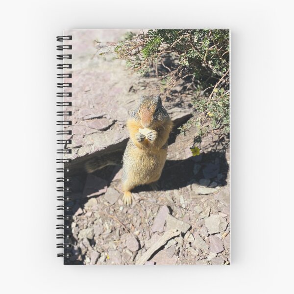 Item preview, Tiny Snack Bandit - Glacier National Park Wildlife designed and sold by Southern Summit Photography.