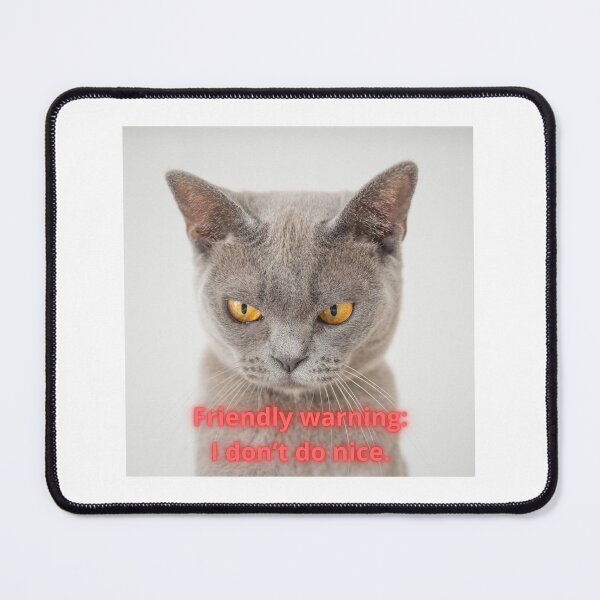 Item preview, Friendly warning: I don’t do nice. designed and sold by EggPig.