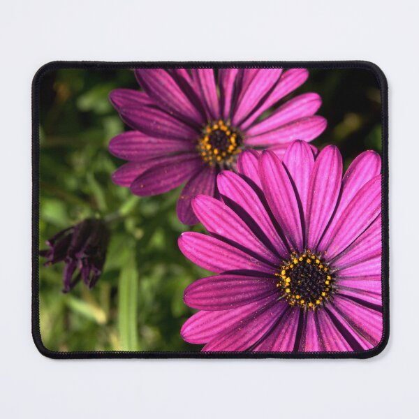 Item preview, Purple Explosion...Again designed and sold by Douglas E. Welch Design and Photography.