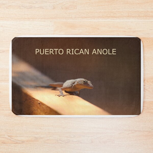 Item preview, Puerto Rican Anole designed and sold by Judy Geller.