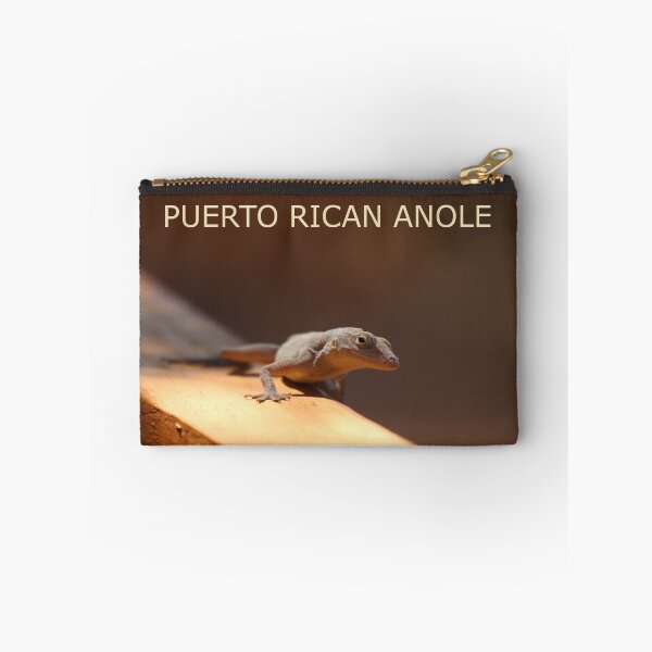 Item preview, Puerto Rican Anole designed and sold by Judy Geller.