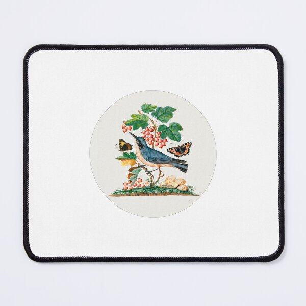Item preview, National Bird Day - Subalpine warbler and eggs designed and sold by Inspirationmotivation.