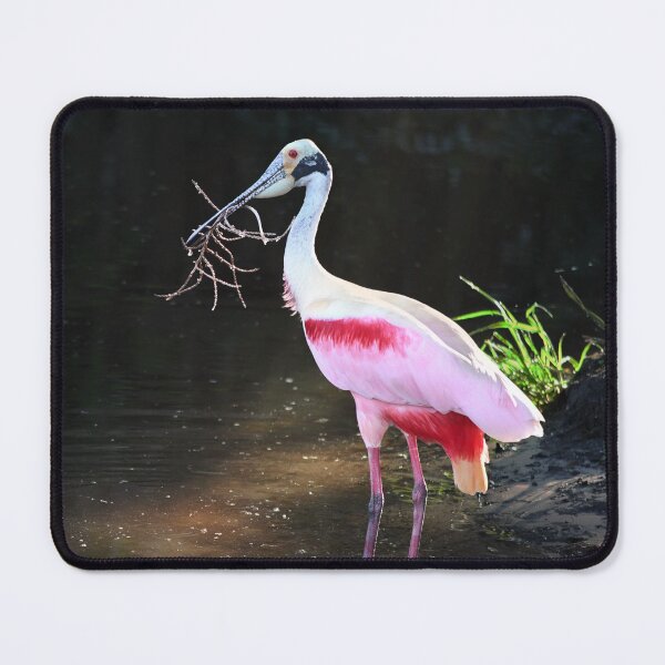 Item preview, Roseate Spoonbill Gathering Twigs designed and sold by richardbryce.