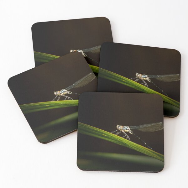 Item preview, Common Flatwing Damselfly designed and sold by robdwildlife.
