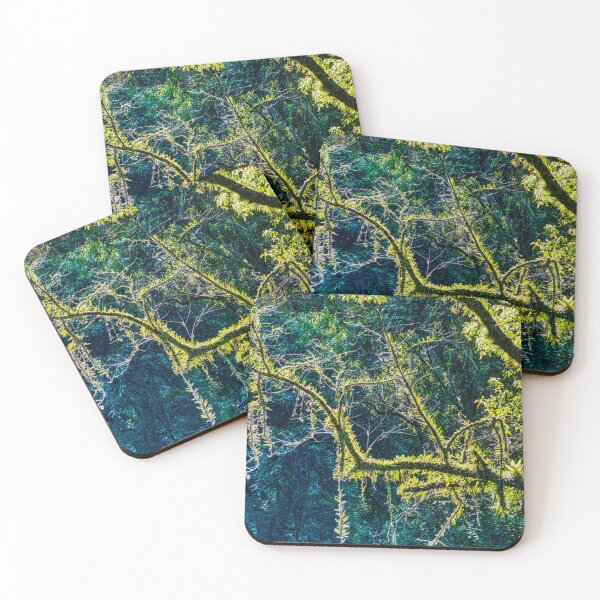 Item preview, Misty Yungas of Salta | Subtropical Mountain Forest | Intense Green Light designed and sold by Keltoi-art.