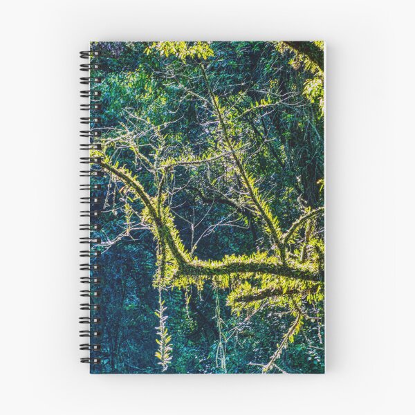 Item preview, Misty Yungas of Salta | Subtropical Mountain Forest | Intense Green Light designed and sold by Keltoi-art.