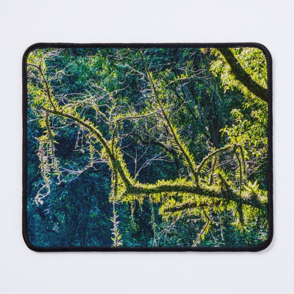 Item preview, Misty Yungas of Salta | Subtropical Mountain Forest | Intense Green Light designed and sold by Keltoi-art.