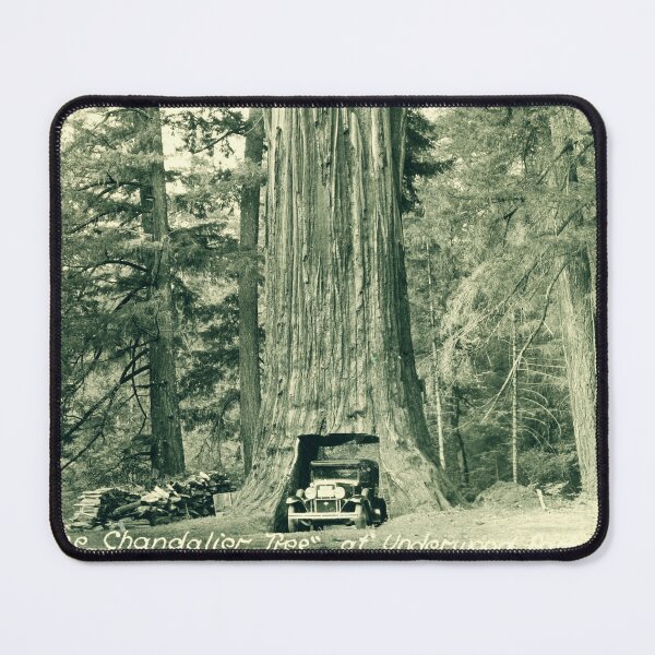 Item preview, "The Chandelier Tree" at Underwood Park designed and sold by NoisyNosyNancy.