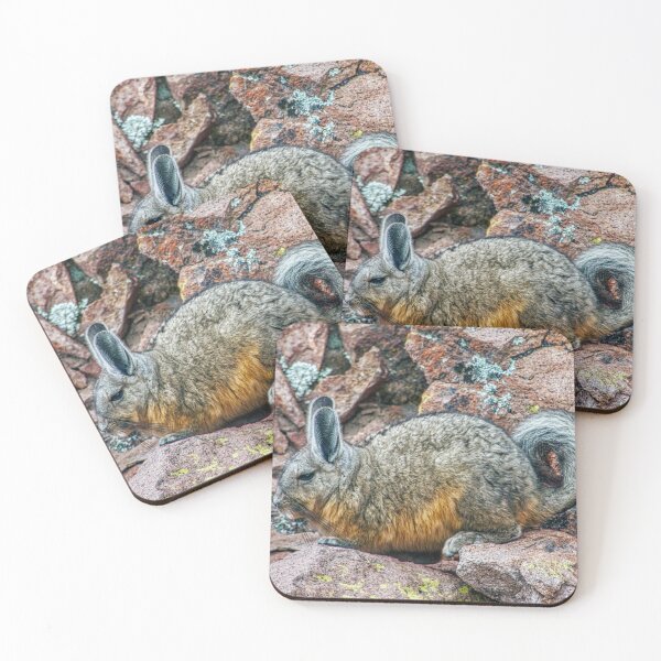 Item preview, Cute Viscacha | Andean High Plateau Wildlife Portrait | Argentina designed and sold by Keltoi-art.