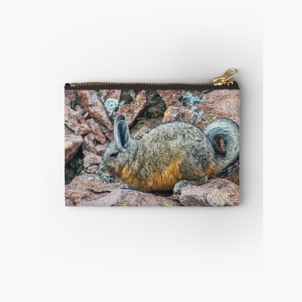 Item preview, Cute Viscacha | Andean High Plateau Wildlife Portrait | Argentina designed and sold by Keltoi-art.