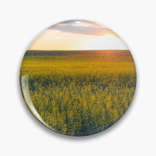 Item preview, Sun Setting Over a Flowering Canola Field in Central Alberta designed and sold by Amy Mitchell.
