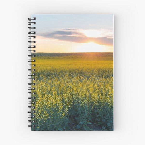 Item preview, Sun Setting Over a Flowering Canola Field in Central Alberta designed and sold by Amy Mitchell.