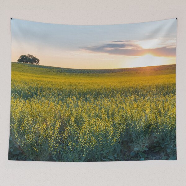 Item preview, Sun Setting Over a Flowering Canola Field in Central Alberta designed and sold by Amy Mitchell.