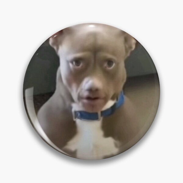 Item preview, Dog TikTok meme designed and sold by bubbauwu.