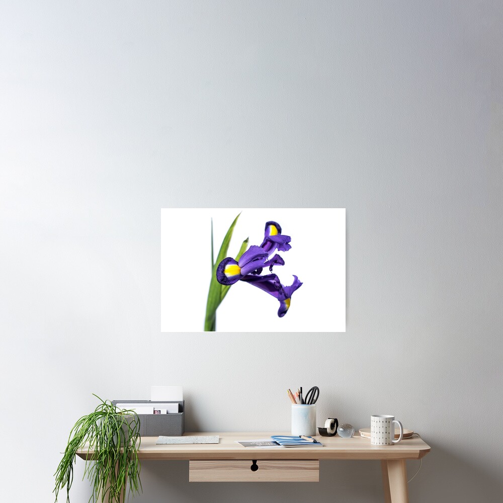 Untitled Poster