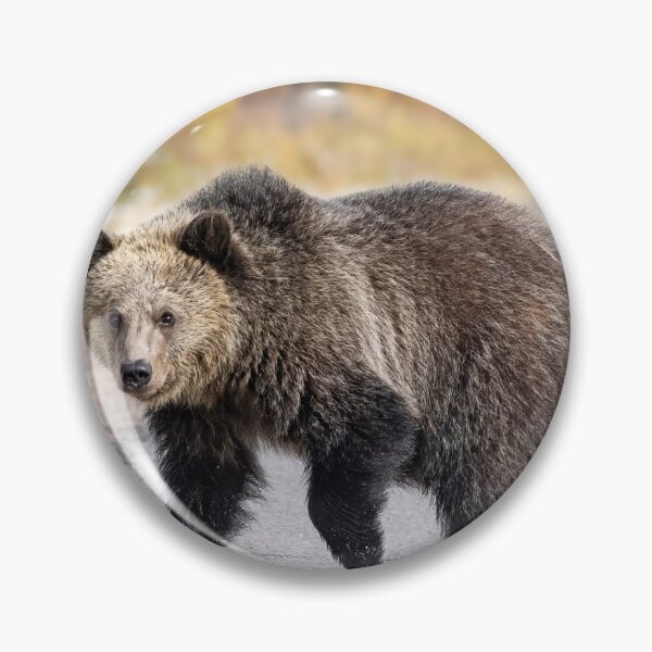 Item preview, Young Grizzly Bear Crossing the Road designed and sold by Don Arsenault.