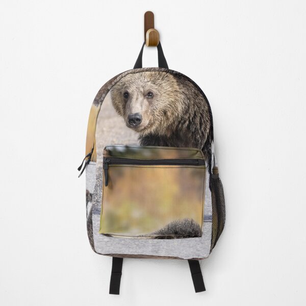 Item preview, Young Grizzly Bear Crossing the Road designed and sold by Don Arsenault.
