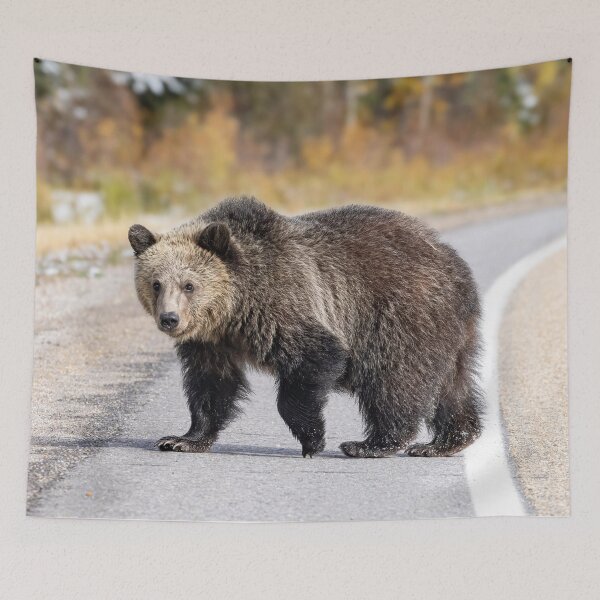 Item preview, Young Grizzly Bear Crossing the Road designed and sold by Don Arsenault.