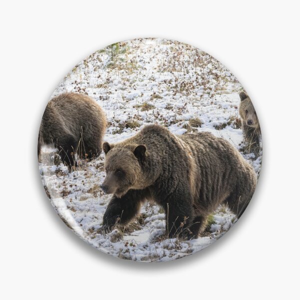 Item preview, Adult Grizzly Bear and Cubs designed and sold by Don Arsenault.