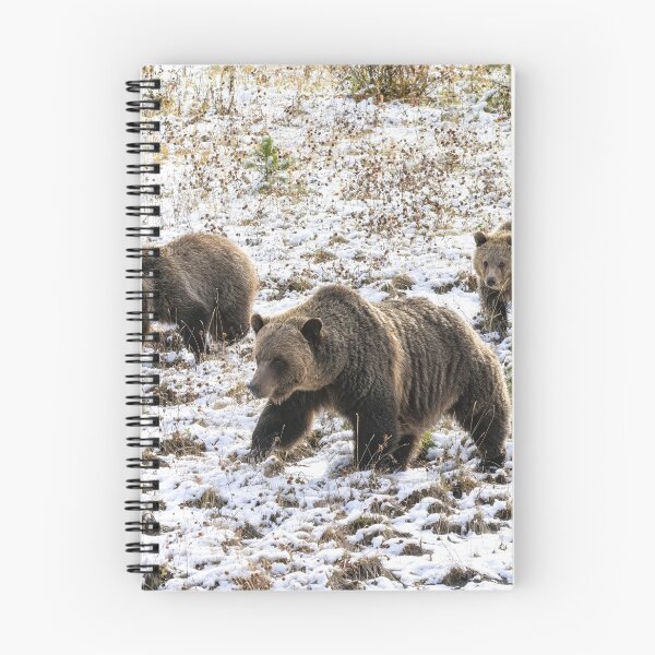 Item preview, Adult Grizzly Bear and Cubs designed and sold by Don Arsenault.