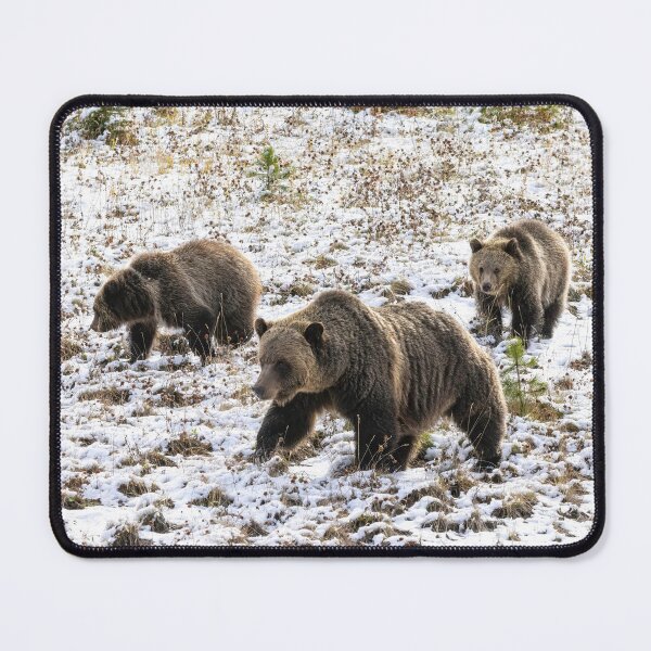 Item preview, Adult Grizzly Bear and Cubs designed and sold by Don Arsenault.